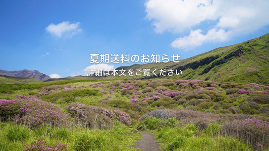6/25から夏期送料となります。